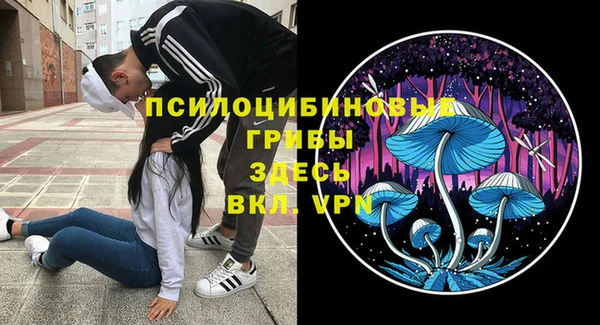 крисы Алексеевка