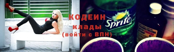 прущие грибы Алзамай