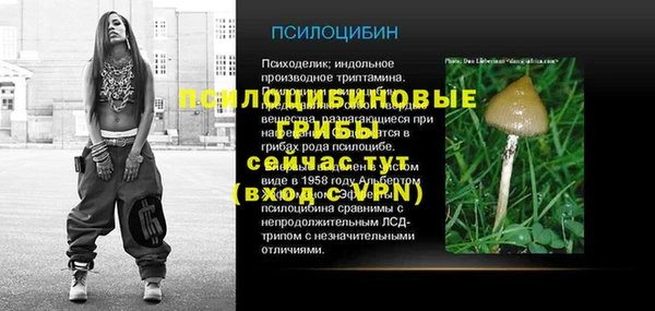 крисы Алексеевка