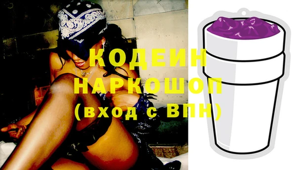 прущие грибы Алзамай