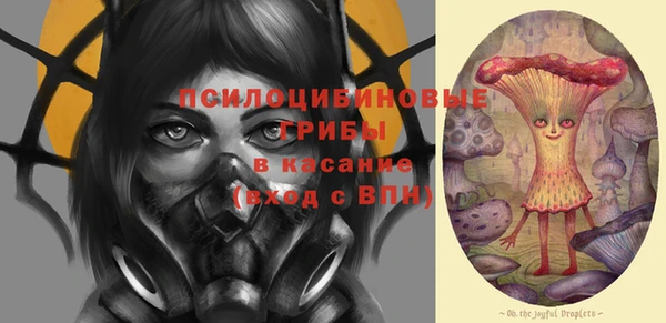 прущие грибы Алзамай