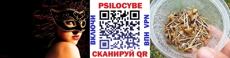 Псилоцибиновые грибы мухоморы  наркотики  Тамбов 